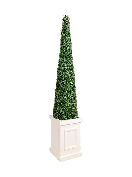 Topiary Rentals Topiary Tree Rentals | Elegant Greenery for Events | Event Rentals Hamilton